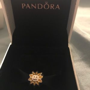 Pandora charm